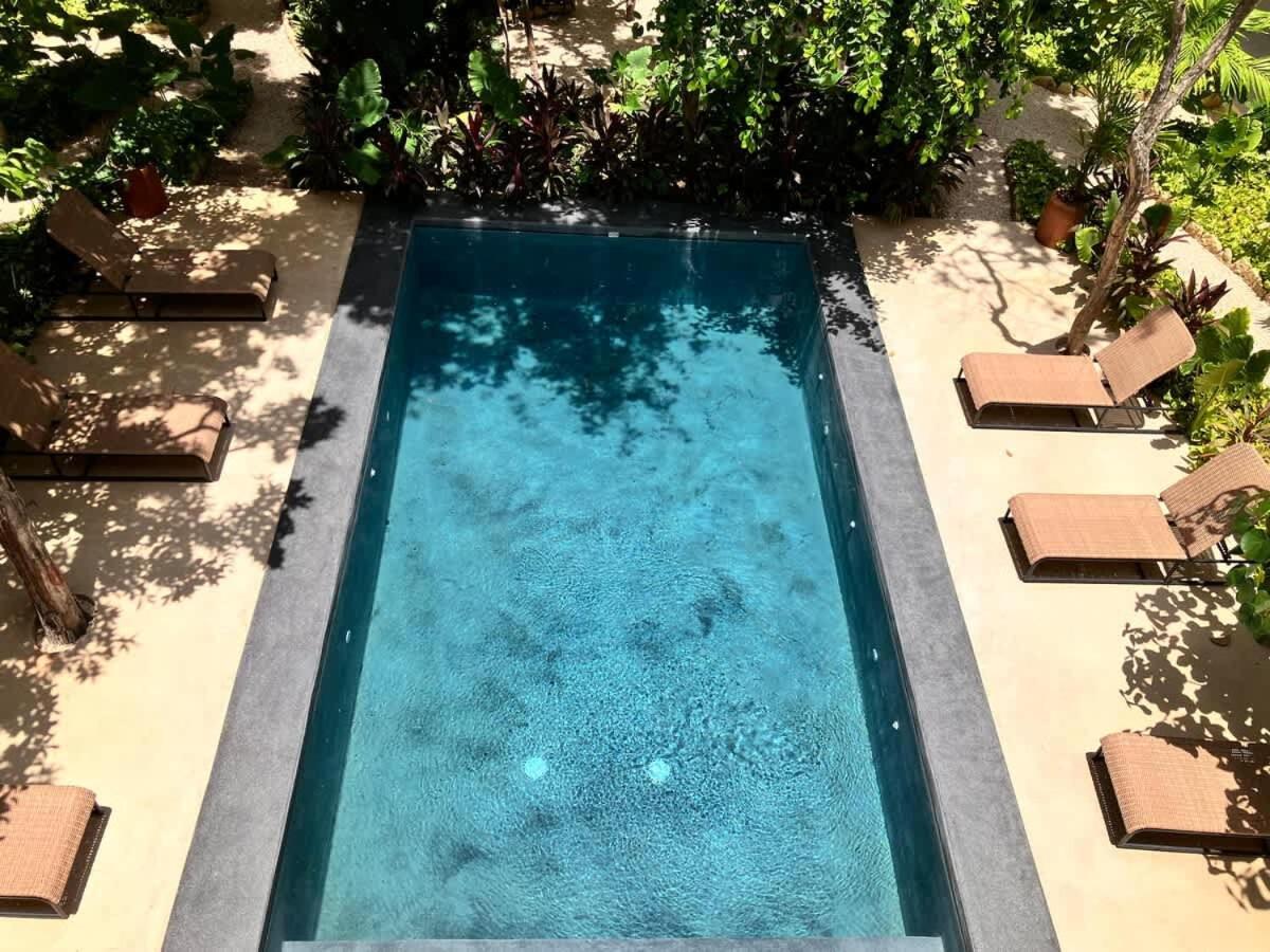 Apartment Near New Ximbal 4 Guest Pool Fast Wifi Tulum