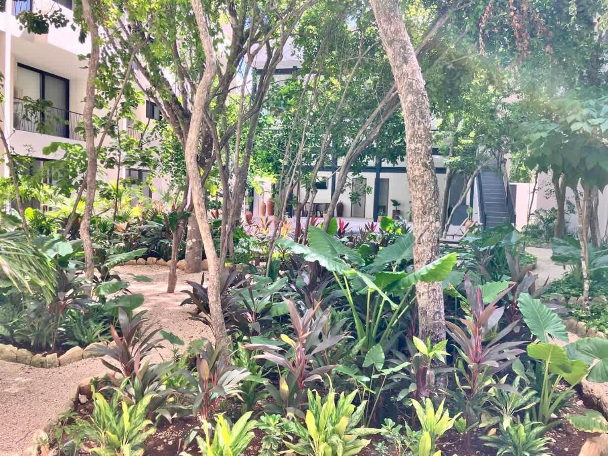 Near New Ximbal 4 Guest Pool Fast Wifi Tulum